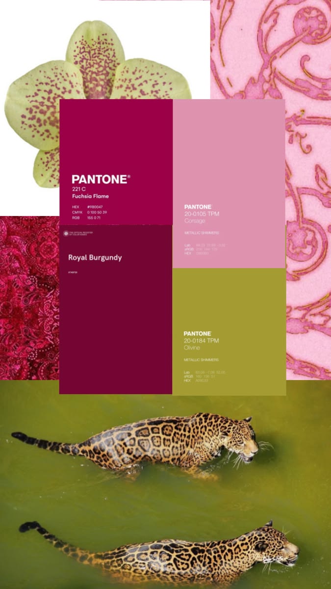 Moodboard colori con palette Pantone